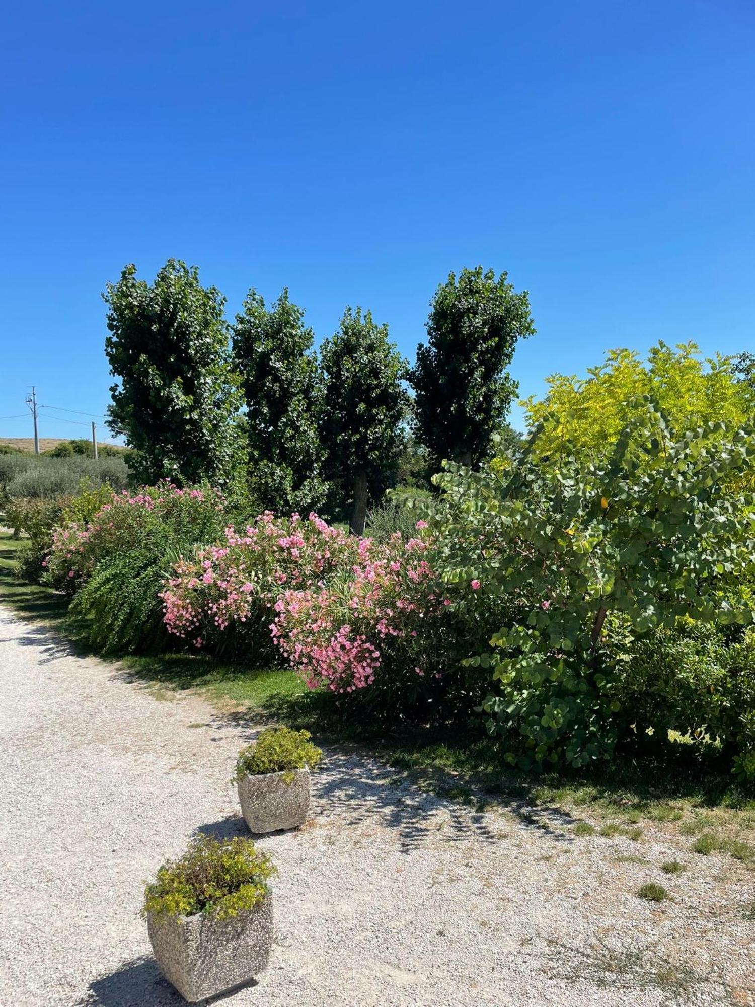 Agriturismo Villa Rosetta San Severino Marche Exterior foto