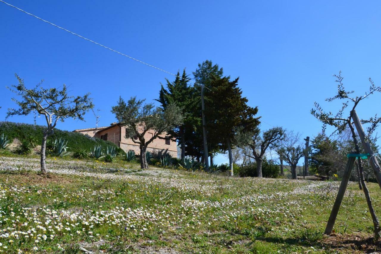 Agriturismo Villa Rosetta San Severino Marche Exterior foto